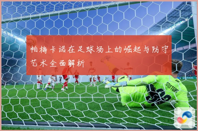 帕梅卡诺在足球场上的崛起与防守艺术全面解析