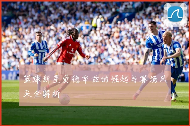 篮球新星爱德华兹的崛起与赛场风采全解析