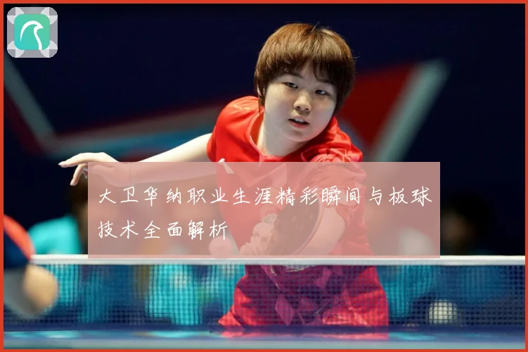大卫华纳职业生涯精彩瞬间与板球技术全面解析