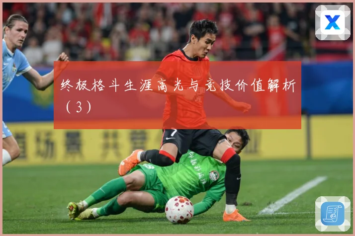 终极格斗生涯高光与竞技价值解析（3）