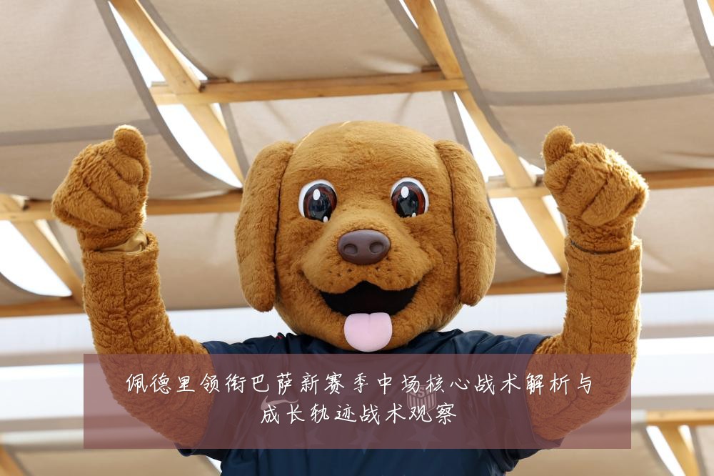 佩德里领衔巴萨新赛季中场核心战术解析与成长轨迹战术观察