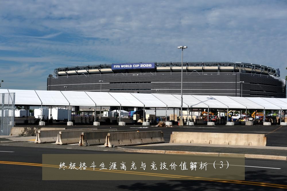 终极格斗生涯高光与竞技价值解析（3）